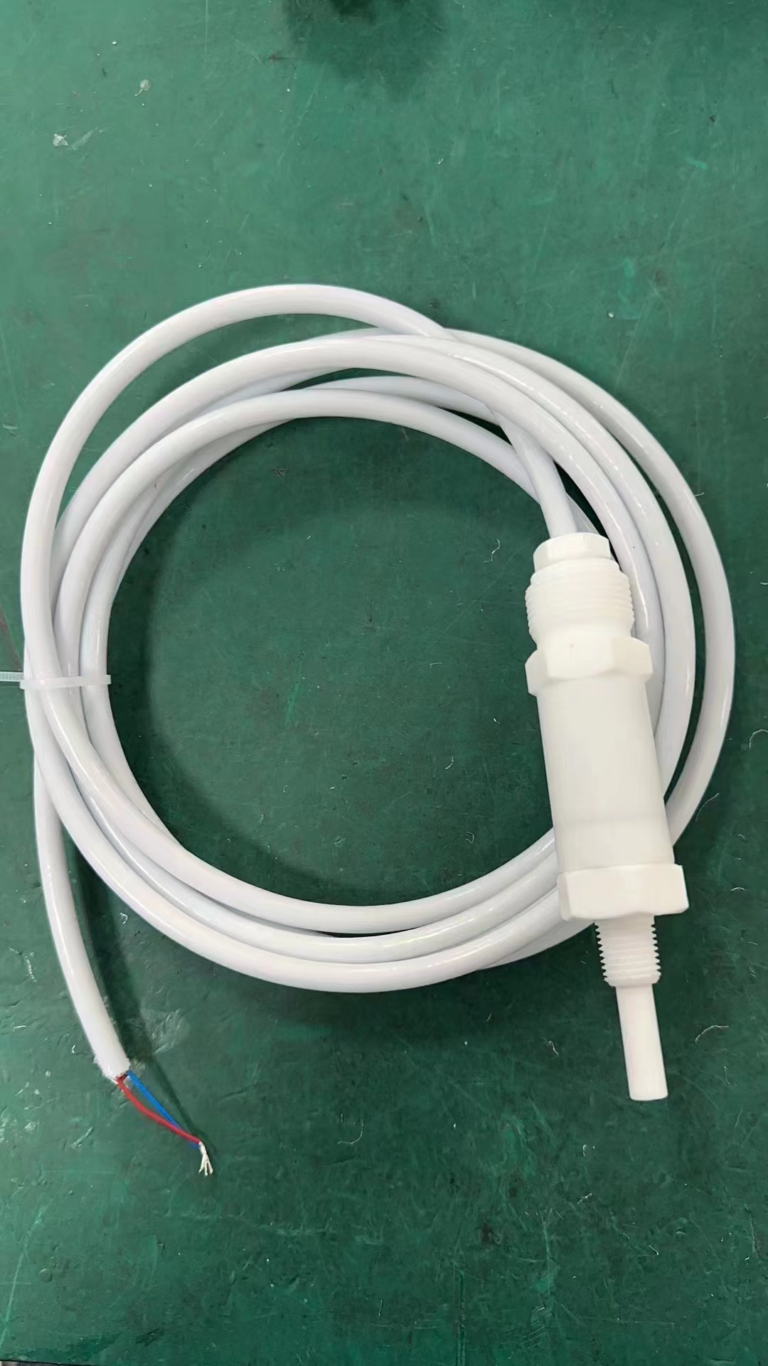 全四氟防腐溫度傳感器實物圖